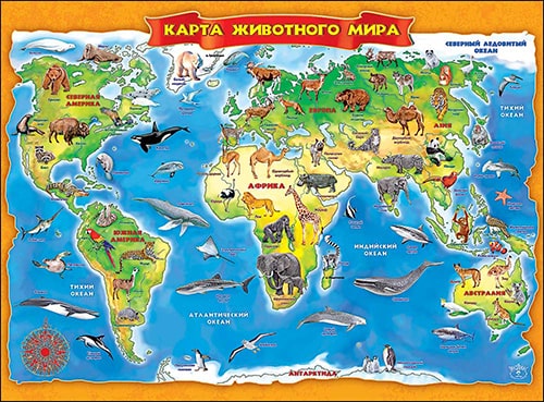 Карта животного мира. Плакат А2