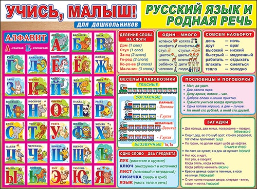 Русский язык и родная речь. Плакат А2