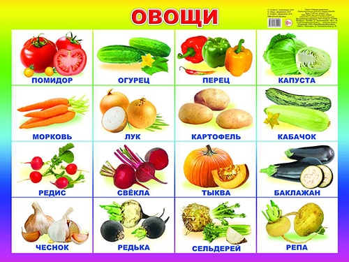 Овощи. Плакат А2. Леда